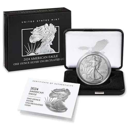 2024 W Burnished American Silver Eagle