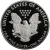 2019 S American Silver Eagle - Proof (Coin Only)