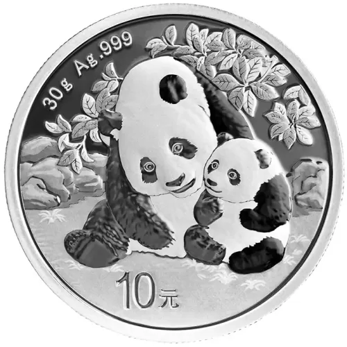 2024 Chinese Silver Panda 30gr